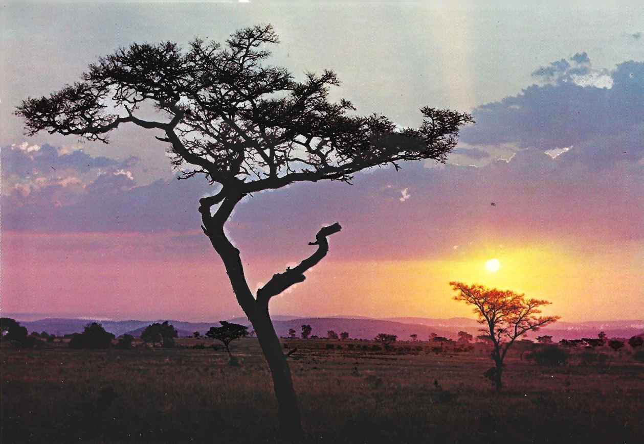 Skemer in die veld_SA