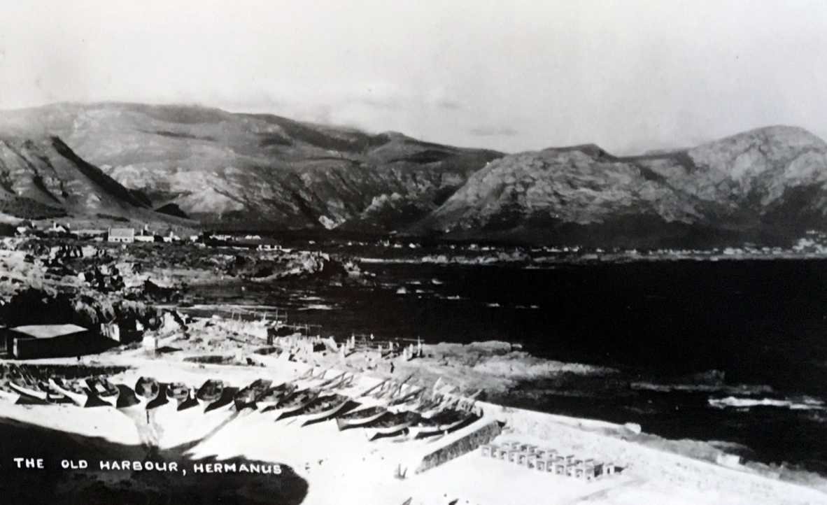 The Old Harbour Hermanus