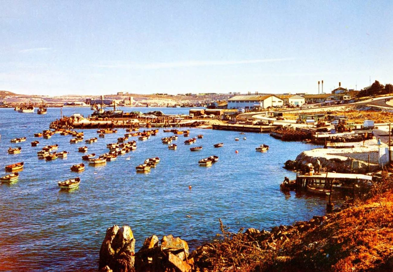 Fishing Jetty Saldahna Bay South Africa