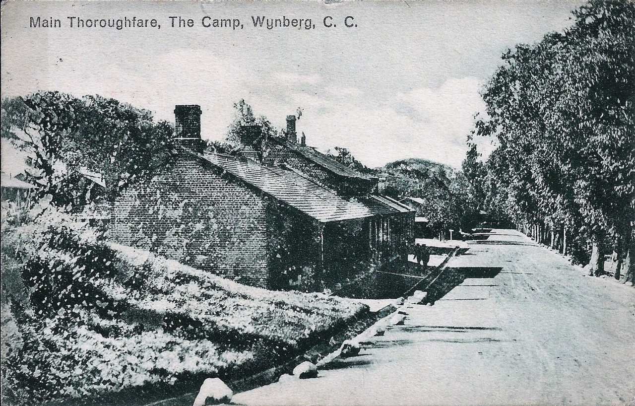 Wynberg