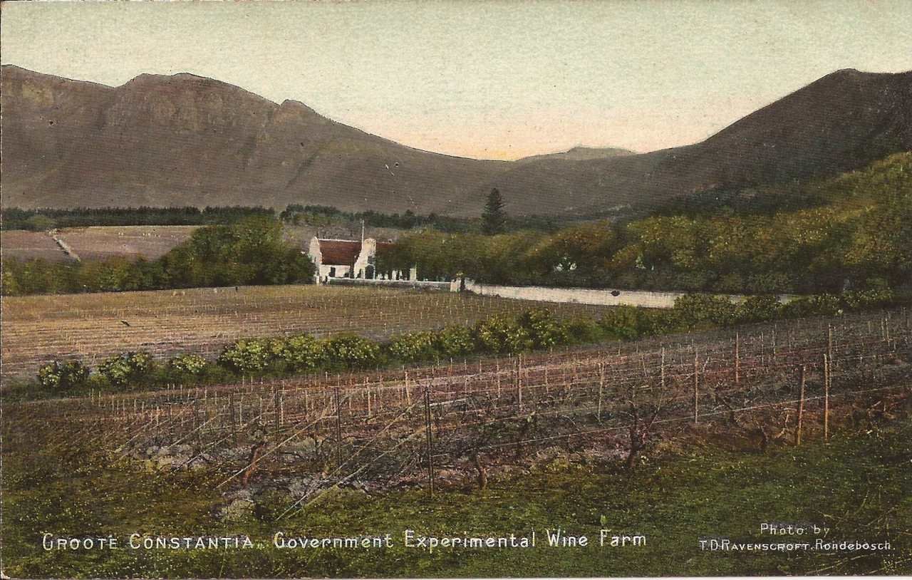 Groot Constantia