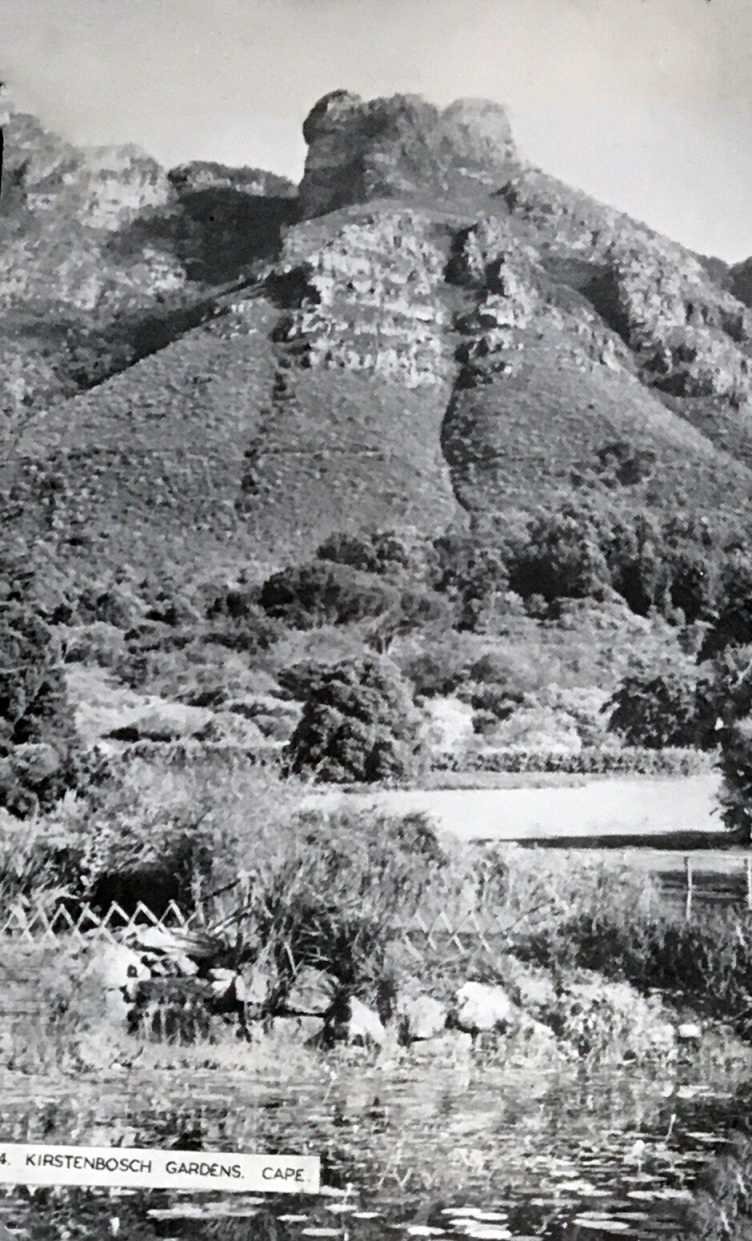 Kirstenbosch Gardens Cape Town