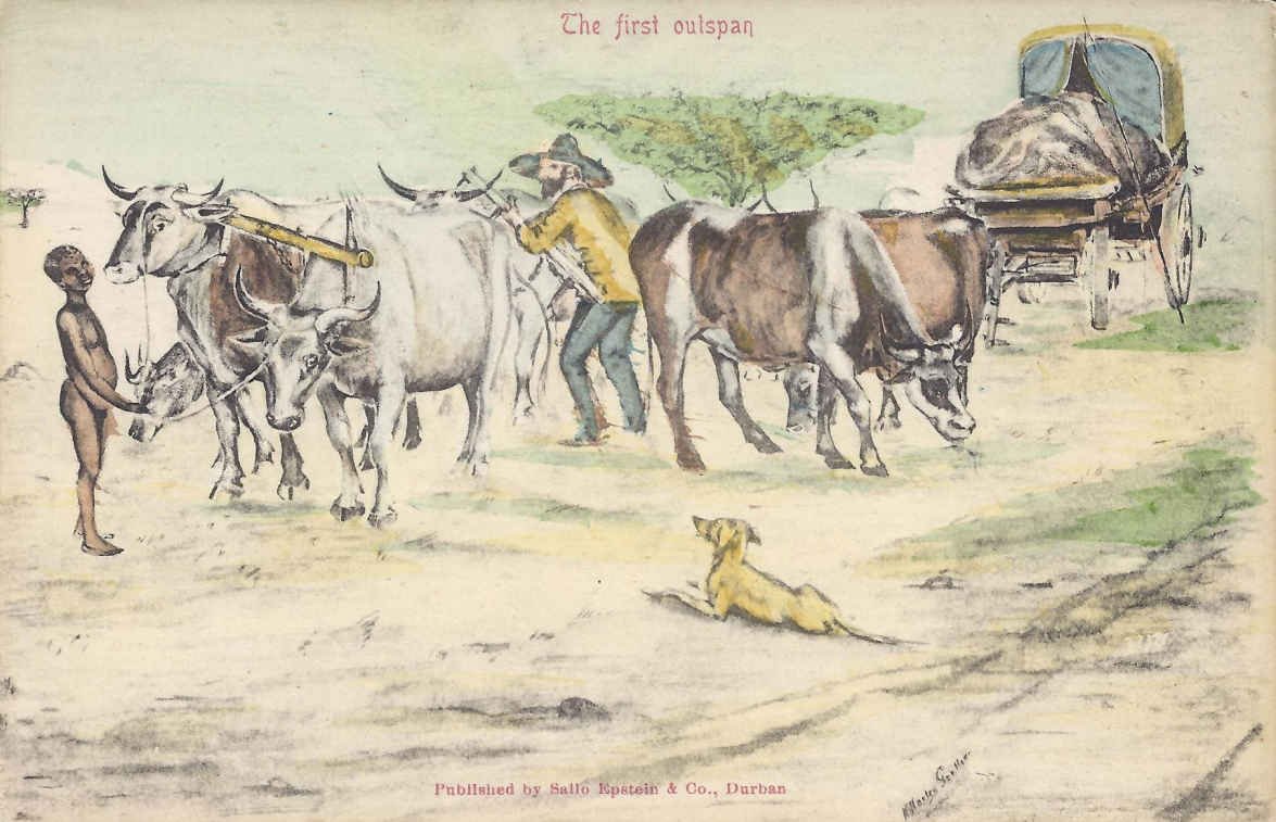 The first outspan