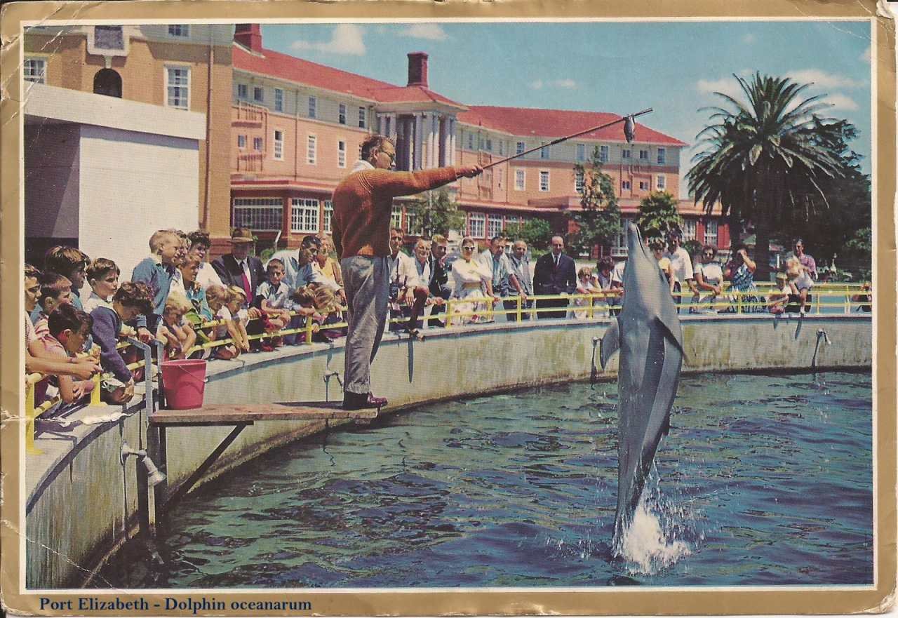 Port Elizabeth Oceanarium