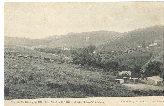 Barberton Ivy Mine at Moodies