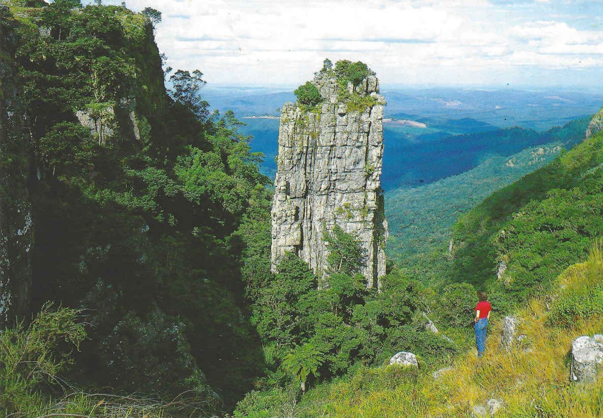 Graskop Rotsnaald_Pinnacle
