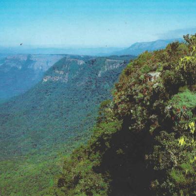 Graskop_Gods window