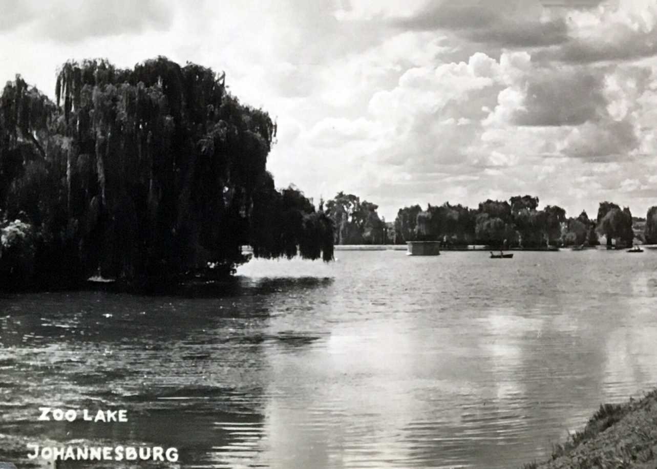 Zoo Lake 2 Johannesburg