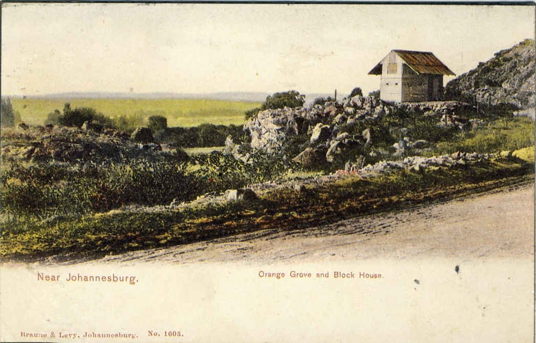 Johannesburg Orange Grove &amp; Block House