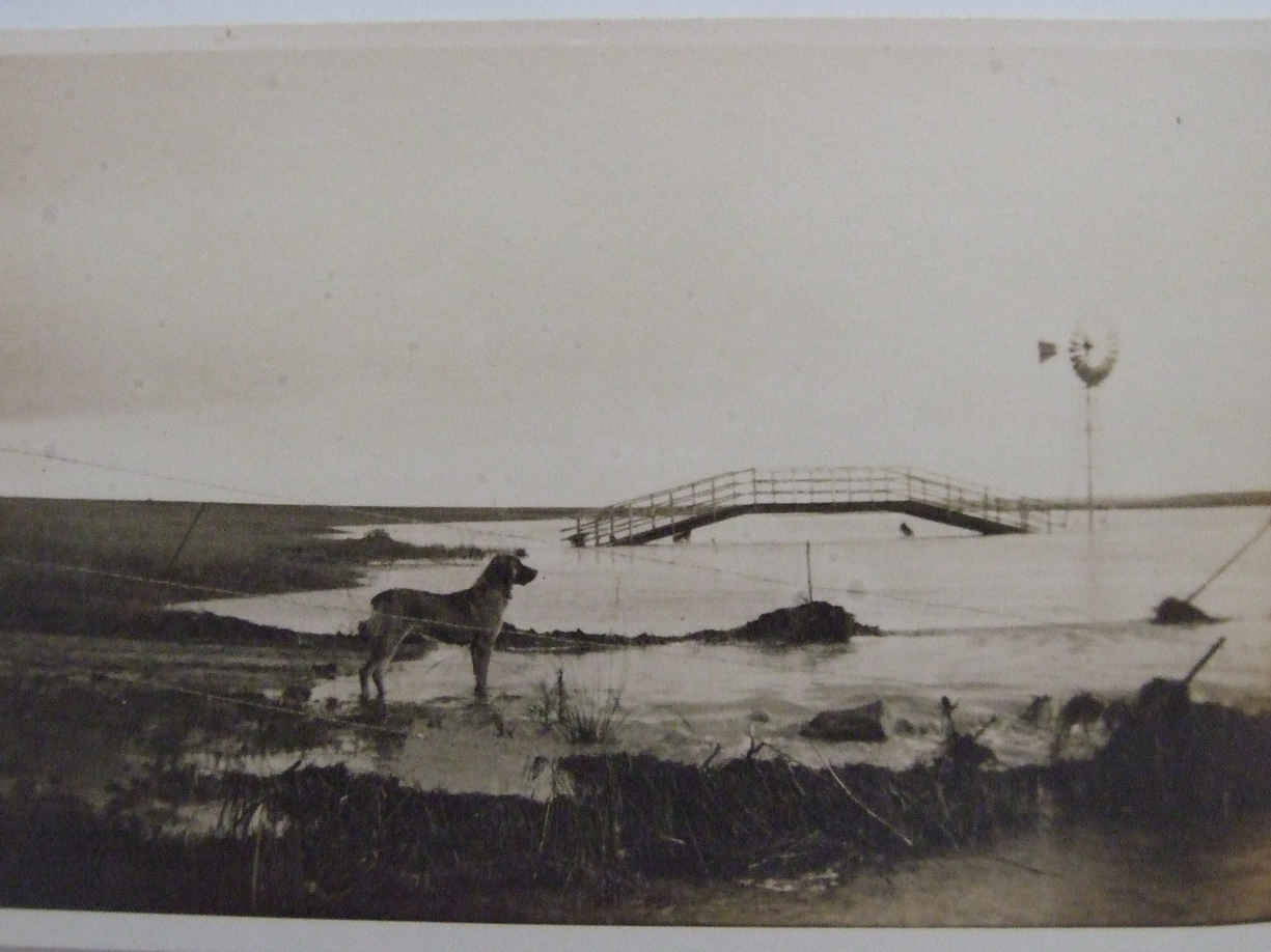 Floods 2