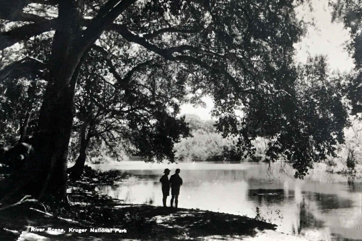 River Scene Kruger National Park