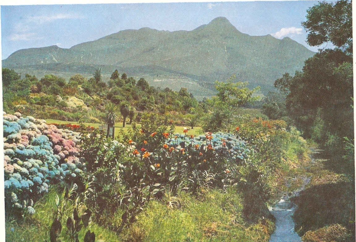 George, Van Riebeeck Gardens