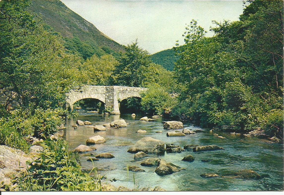 Devon, Fingle Bridge, South Devon