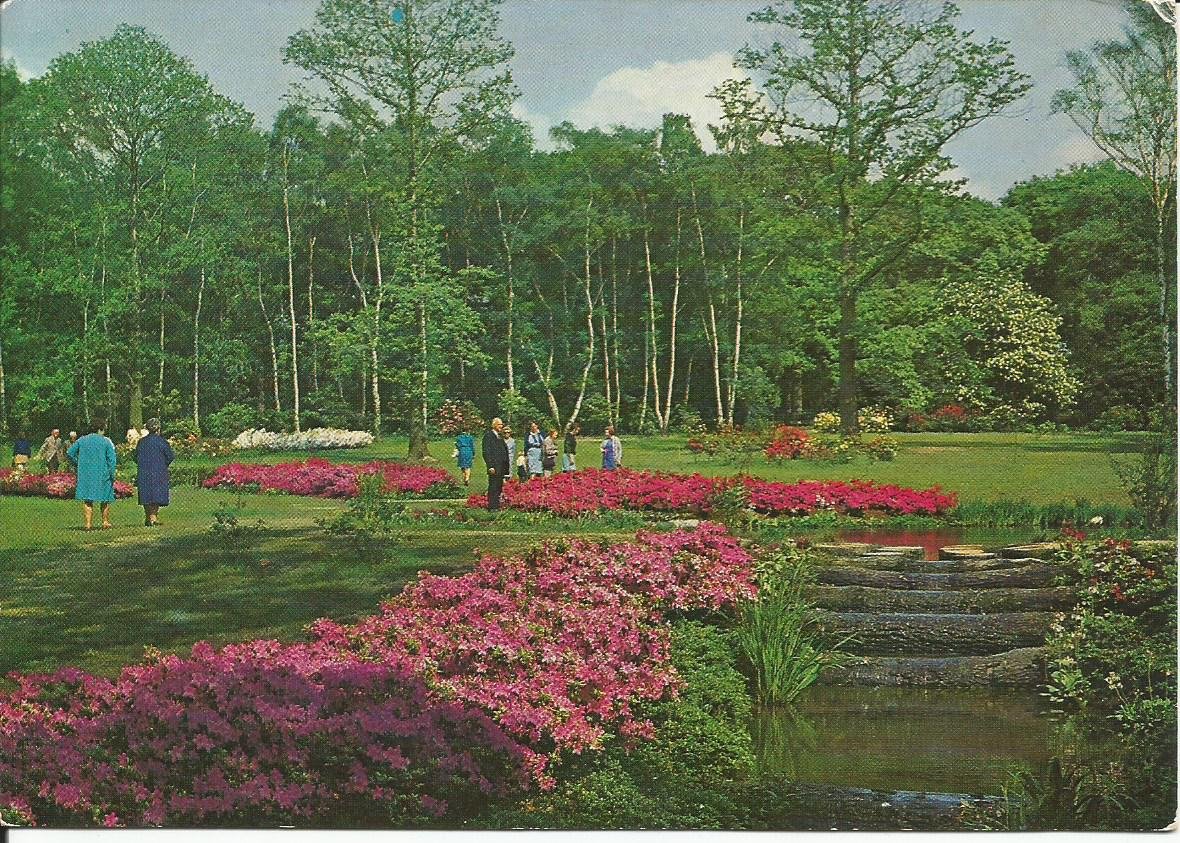 Surrey, Richmond Park,Woodland Garden &amp; Thomson's Pond