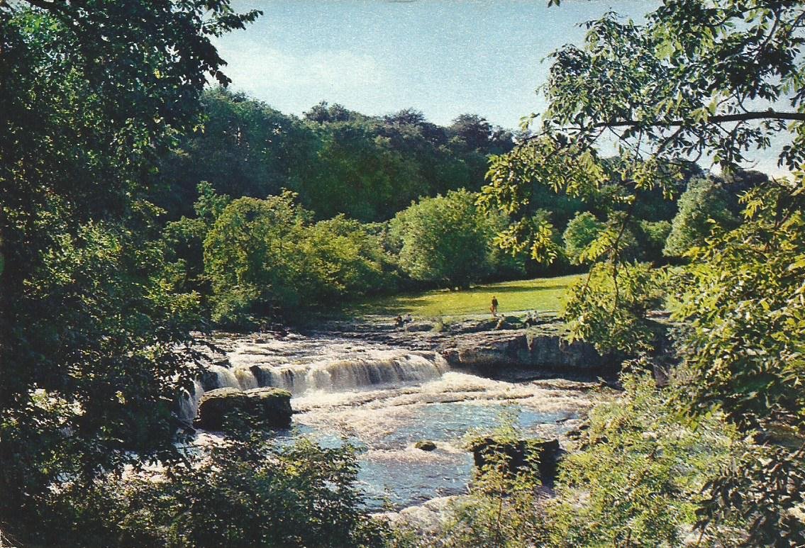 Yorkshire, Aysgarth Upper Force