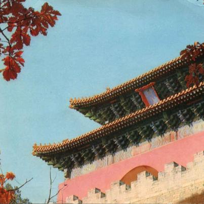 China / 中國
