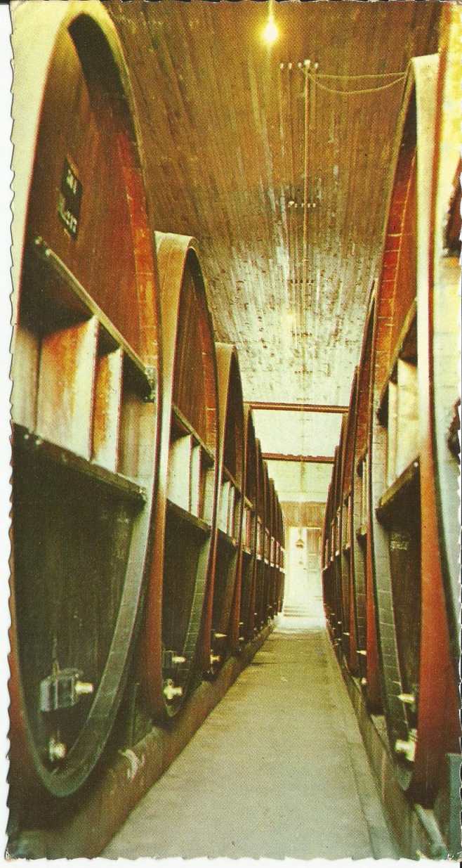 Argentina, Winery, Mendoza