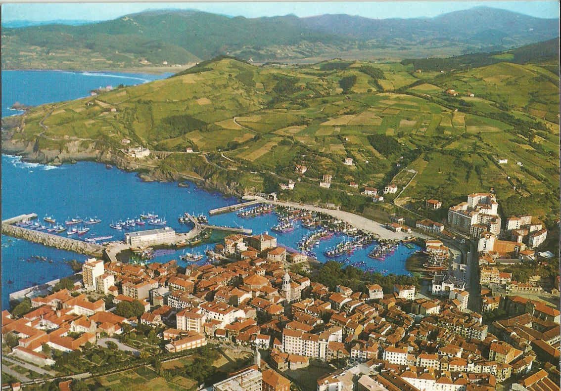 Bermeo_ Aerial View