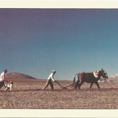 Spain_ Farming