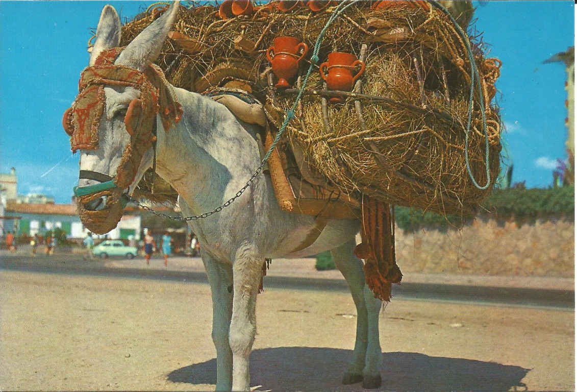 Spain_ Typical Post Mount Andaluz