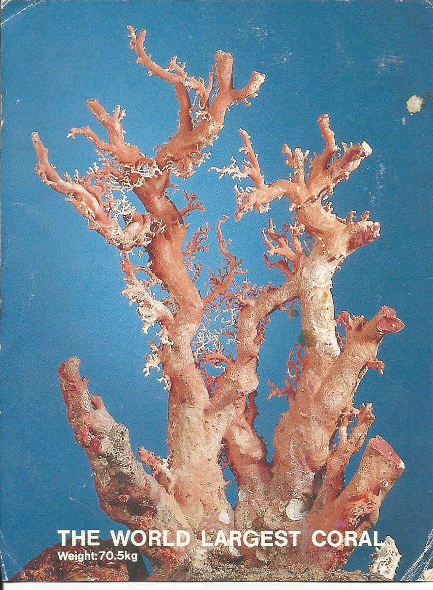 Taiwan_ The World_s Largest Coral_1
